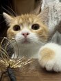シーズネイル(She's nail)&nbsp;とにかく猫大好きです！！