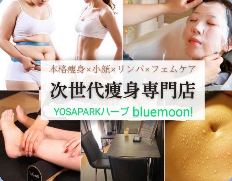 ヨサパーク ハーブ ブルームーン(YOSA PARK blue moon ヨサパーク ハーブ ブルームーン(YOSA PARK blue moon