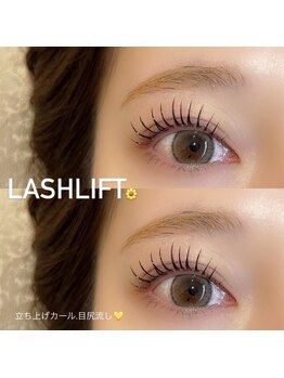 ルオ(Luo)/ マツエク/まつげパーマ/眉毛