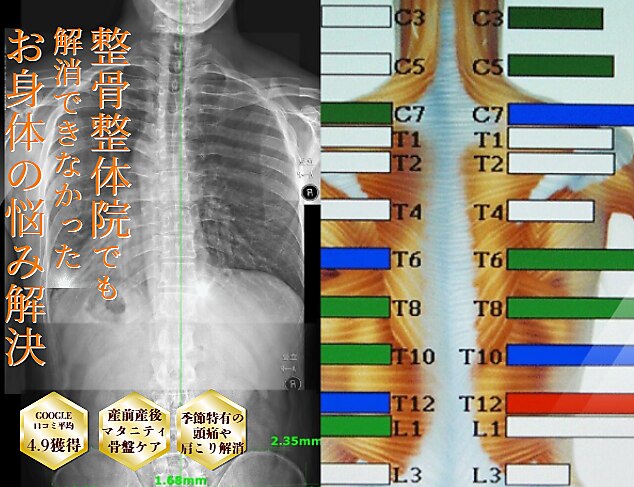 オレンジカイロプラクティック｜ホットペッパービューティー