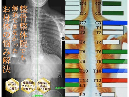 オレンジカイロプラクティックの写真