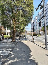 サロン ド 木蓮(Salon de 木蓮)/二子玉川駅からの道順