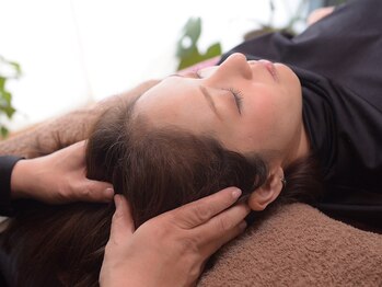 ハミングバード/7頭頂部をマッサージ