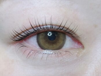 オルム(orem)/パリジェンヌラッシュリフト