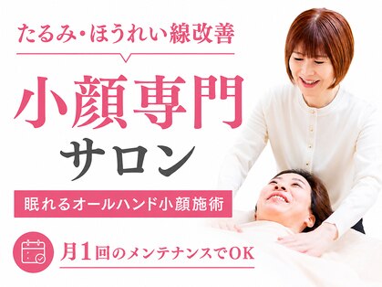 クローバー(clover)の写真