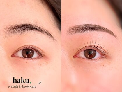 ハク(haku.)の写真