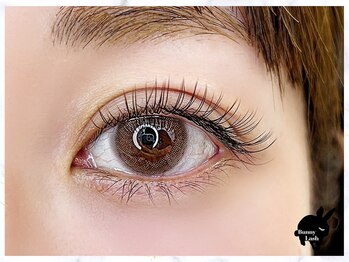 バニーラッシュ(Bunny Lash)/【フラットラッシュ】ブラウン