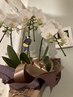 【当店人気N。1】バリ式オイル&ロミロミ　180分　17000円（深層94％迄
