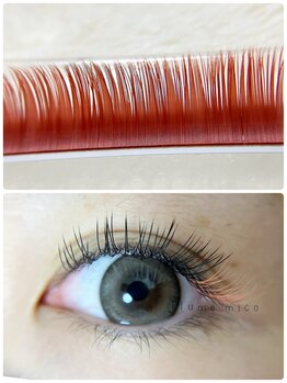 プルームミコ(Plume mico)/サクラコーラル 