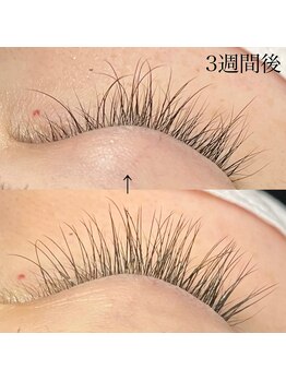 シャルコット(shall cocotte。)/マツエク装着から3週間後