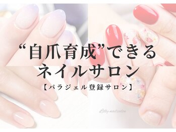 リリー(Lilly)