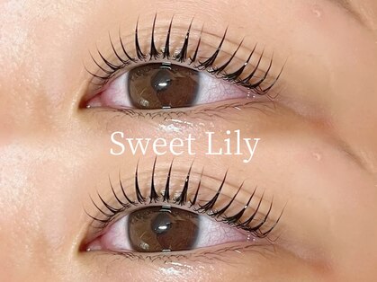 スウィート リリー(Sweet Lily)の写真