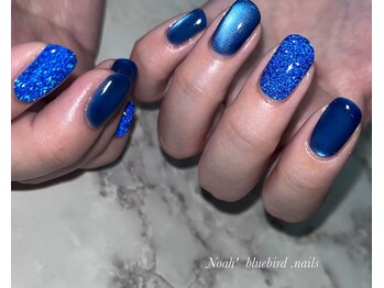 ノアブルーバードネイルズ(Noah' bluebird .nails)/ブルーフラッシュ＆マグネット