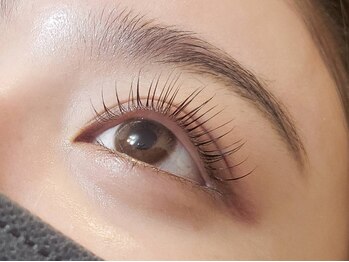 アイラッシュ コペル 中目黒(eyelash Copel)の写真/【次世代まつ毛パーマ★ラッシュリフト¥5500】高技術のオーナーサロン☆貸切り空間でゆったりリラックス♪