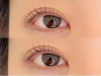 シャルフ(shalf)/オーダーラッシュリフト