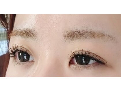 サン(SUN)の写真