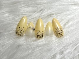 韓国定額デザイン