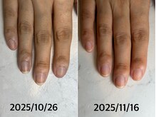 レヴィア(Revia)/