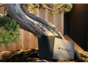 ザ ヘッドスパ トヨハシ(TOYOHASHI)/〈ギフトカード〉