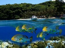 アジアンリラクゼーション ヴィラ 福岡東店(asian relaxation villa)/バリ島；マリンスポーツ