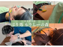 鍼灸整体院 はり処もりしーの森
