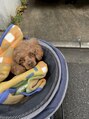 癒し~ぷ 三鷹店 寒いのが苦手な愛犬ちゃん♪
