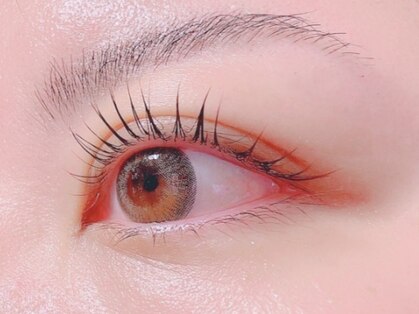 ゴイチマル(510)の写真