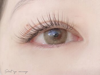 セレクト アイコンシェルジュ 新宿店(SELECT eye concierge)の写真/【ブラウンMIXが無料】アイブロウとの組み合わせは◎[新宿駅/アイブロウ/まつ毛パーマ/フラットラッシュ]