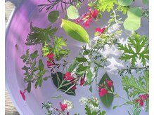 カレイド マニョ(kaleido manyo)/季節のハーブフットバス