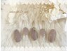 【ハンド/保湿ケア込み】ミラーアート10本*お好きなデザイン￥7800