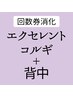回数券消化 エクセレントコルギ+背中マッサージ