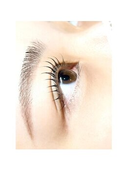 アンフィズム(annfism)/