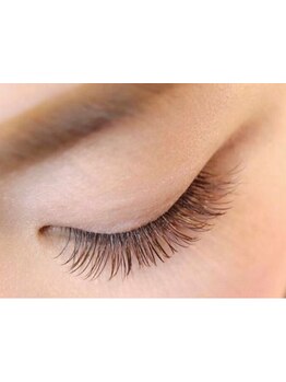 エクステの種類が豊富