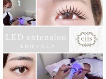 シルズ 神戸ウエスト店(cils)