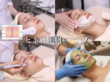 リグレア 浦安(Re.GLARE)の写真