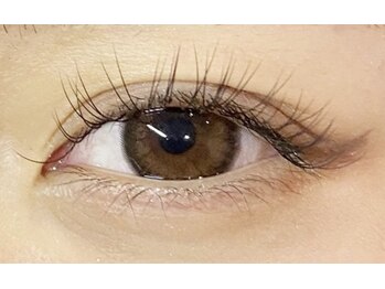 シャルコット(shall cocotte。)/Dカールが増えました！