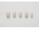 プチアートコース