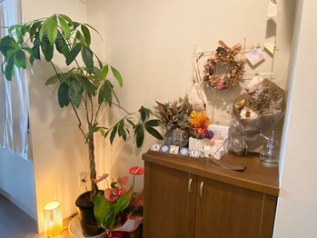 アノネ(Anone.)/サロン内