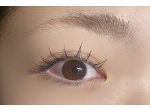 プリート(Pulito)/フラットラッシュ 80本 