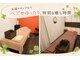 よつ葉の写真/友達やカップルでゆったり過ごせる貸切空間。お二人で受けられる特別な癒しの時間を満喫できます。