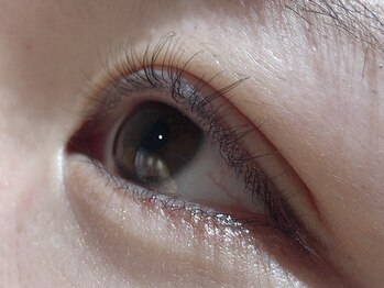 カラン 焼津店(CALIN)/ラスティングカール