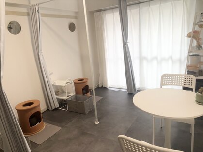 ミーライク(mi-like)の写真