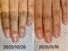 レヴィア(Revia)/