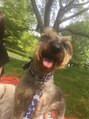 ラルーエ 仙台 今はヨークシャ×シュナウザーのmix犬(クル)と暮らしています。
