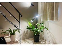 そーにゃの雰囲気（こだわり空間♪プライベート空間なので一目を気にせず過ごせます）