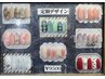 【パラジェル】トレンド定額デザイン￥9500