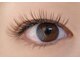 ジュエリーアイラッシュ(Jewelry eyelash)の写真/持続力と美しい仕上がりを兼ね備えたメニュー♪