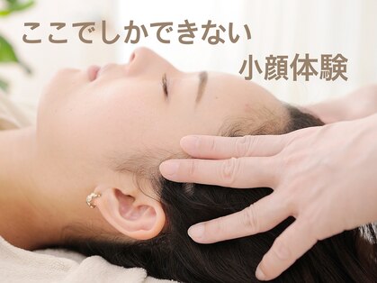 アスト(AST)の写真