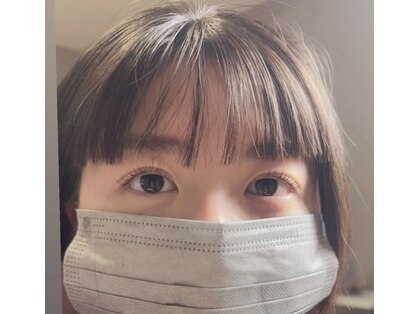 リノ(Lino)の写真