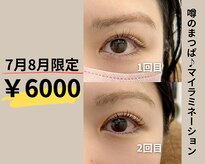 アイオンラッシュ(Aion Lash)
